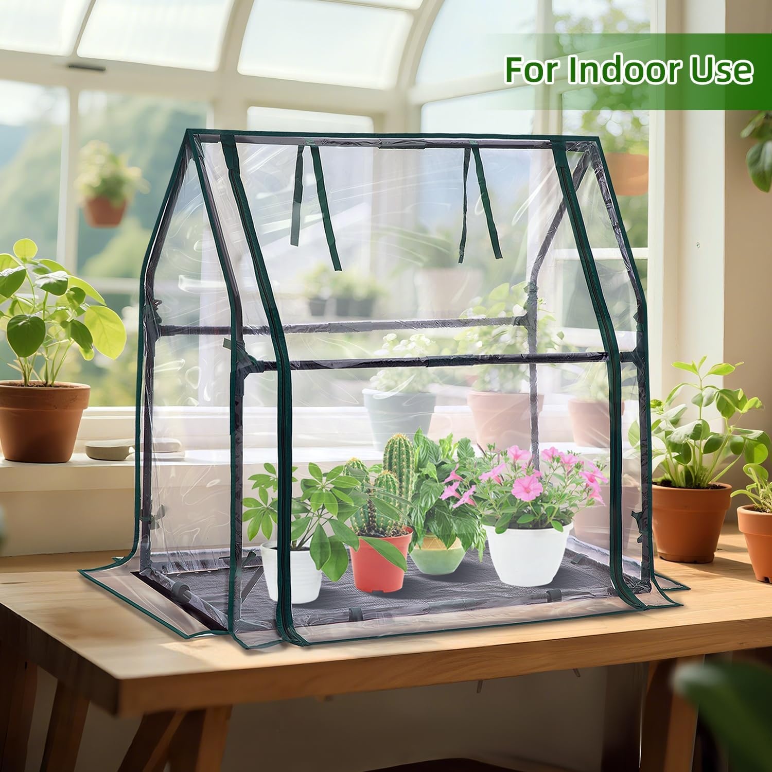 image:imageMini Greenhouse for Indoor Outdoor Ohuhu Portable Green House with Waterproof Pad for Small Plants Nursery Germination 36x36x585 HeavyDuty PVC Cover Tent Humidity Dome Seedling AccessoryClear