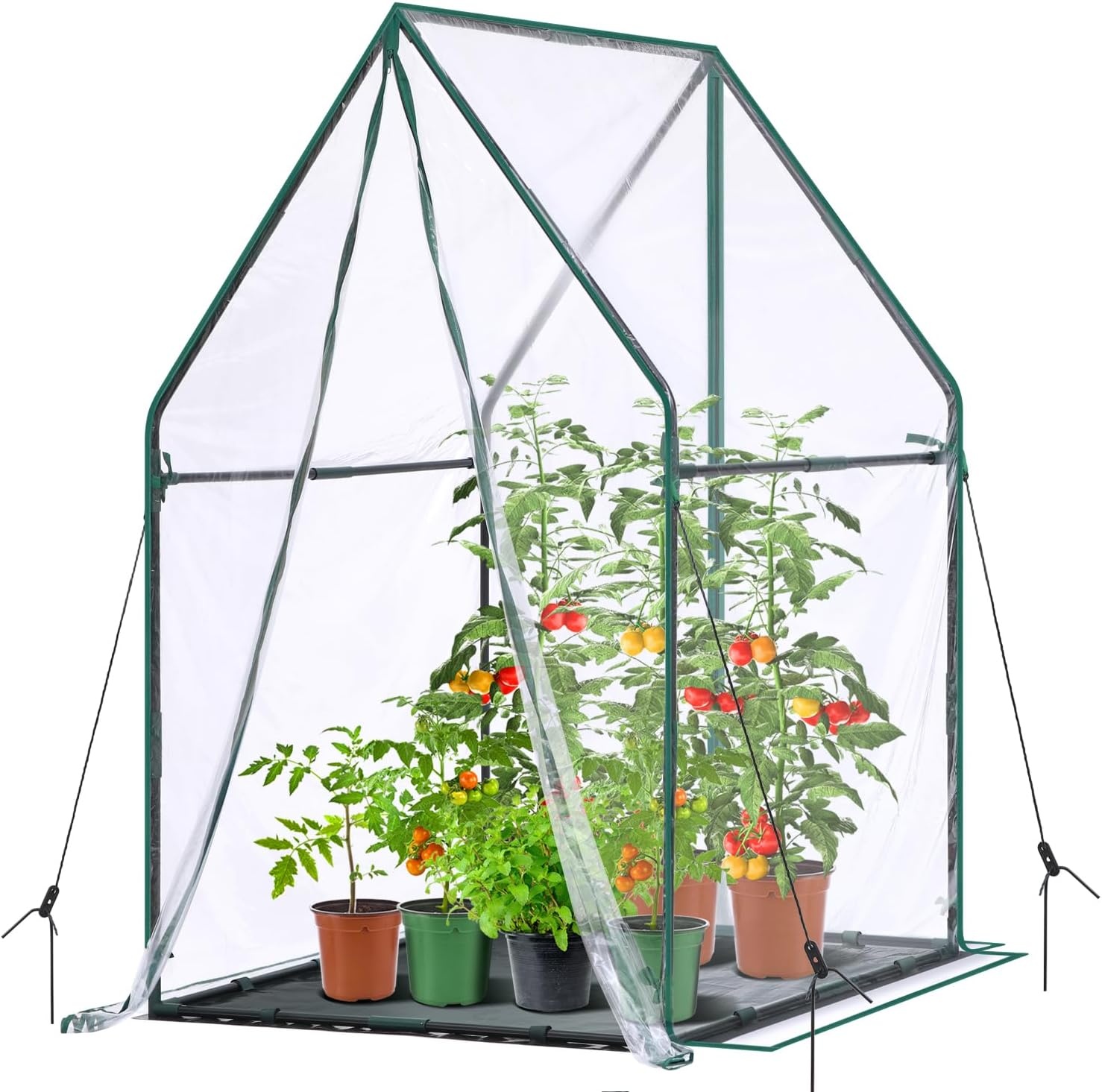 image:imageMini Greenhouse for Indoor Outdoor Ohuhu Portable Green House with Waterproof Pad for Small Plants Nursery Germination 36x36x585 HeavyDuty PVC Cover Tent Humidity Dome Seedling AccessoryClear