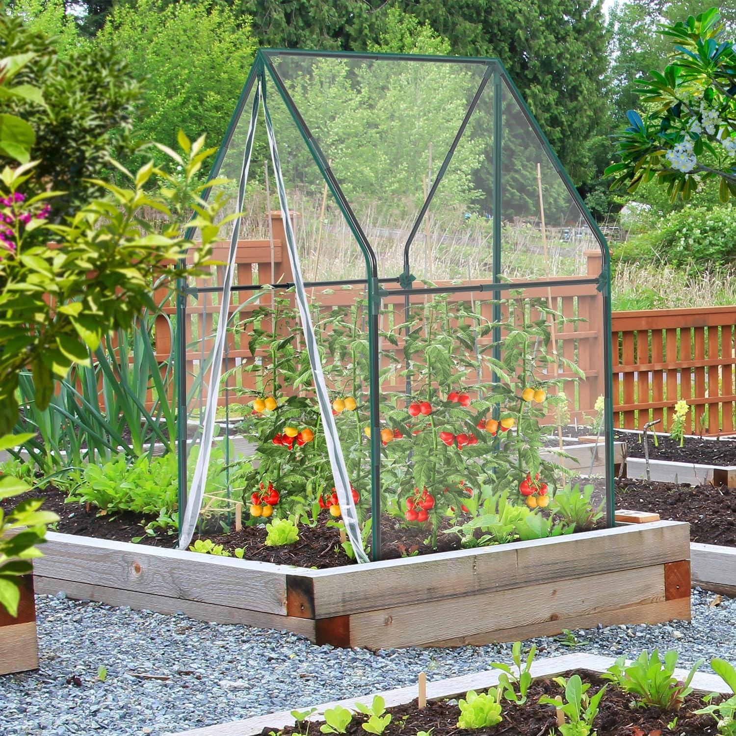 image:imageMini Greenhouse for Indoor Outdoor Ohuhu Portable Green House with Waterproof Pad for Small Plants Nursery Germination 36x36x585 HeavyDuty PVC Cover Tent Humidity Dome Seedling AccessoryClear