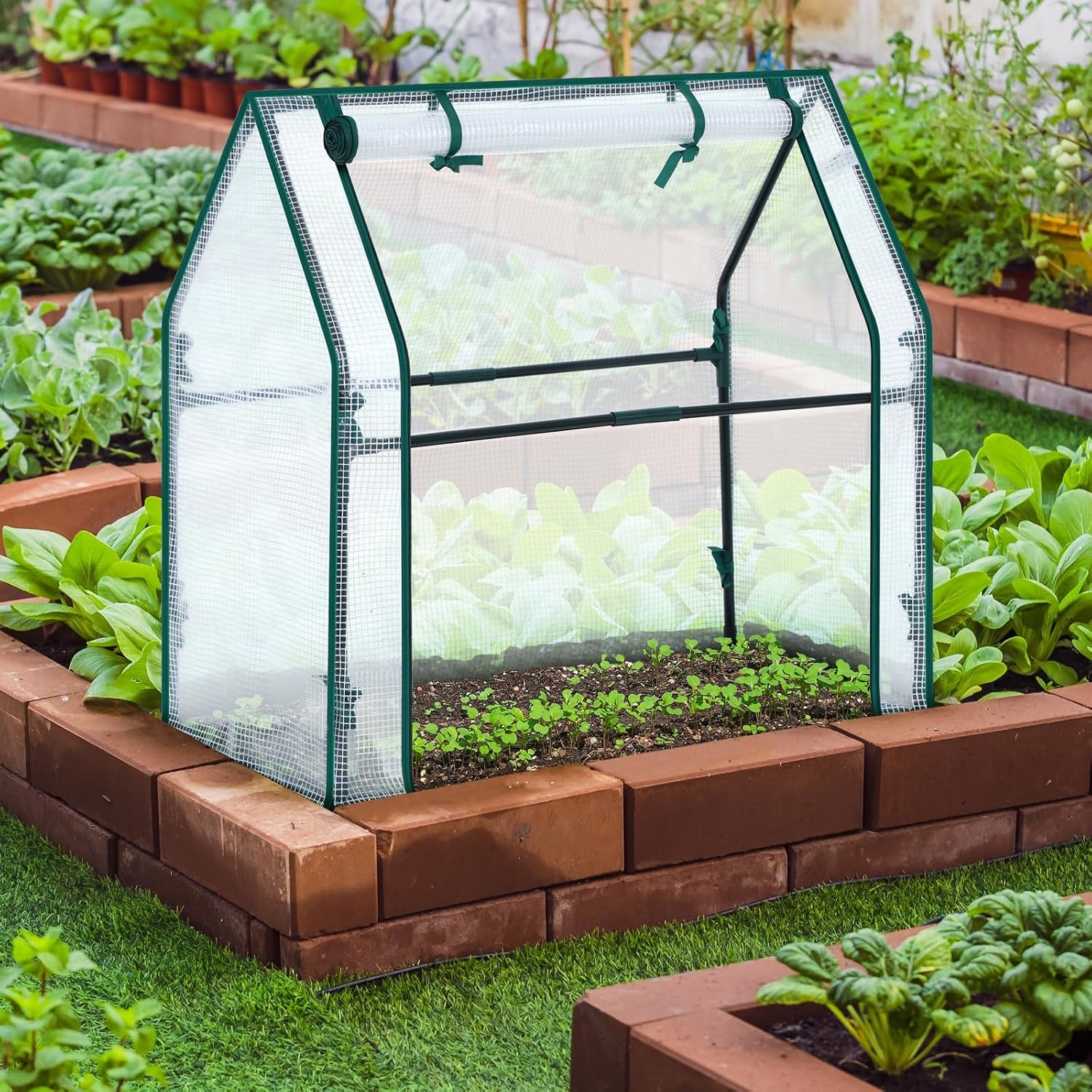 image:imageMini Greenhouse for Indoor Outdoor Ohuhu Portable Green House with Waterproof Pad for Small Plants Nursery Germination 36x36x585 HeavyDuty PVC Cover Tent Humidity Dome Seedling AccessoryWhite