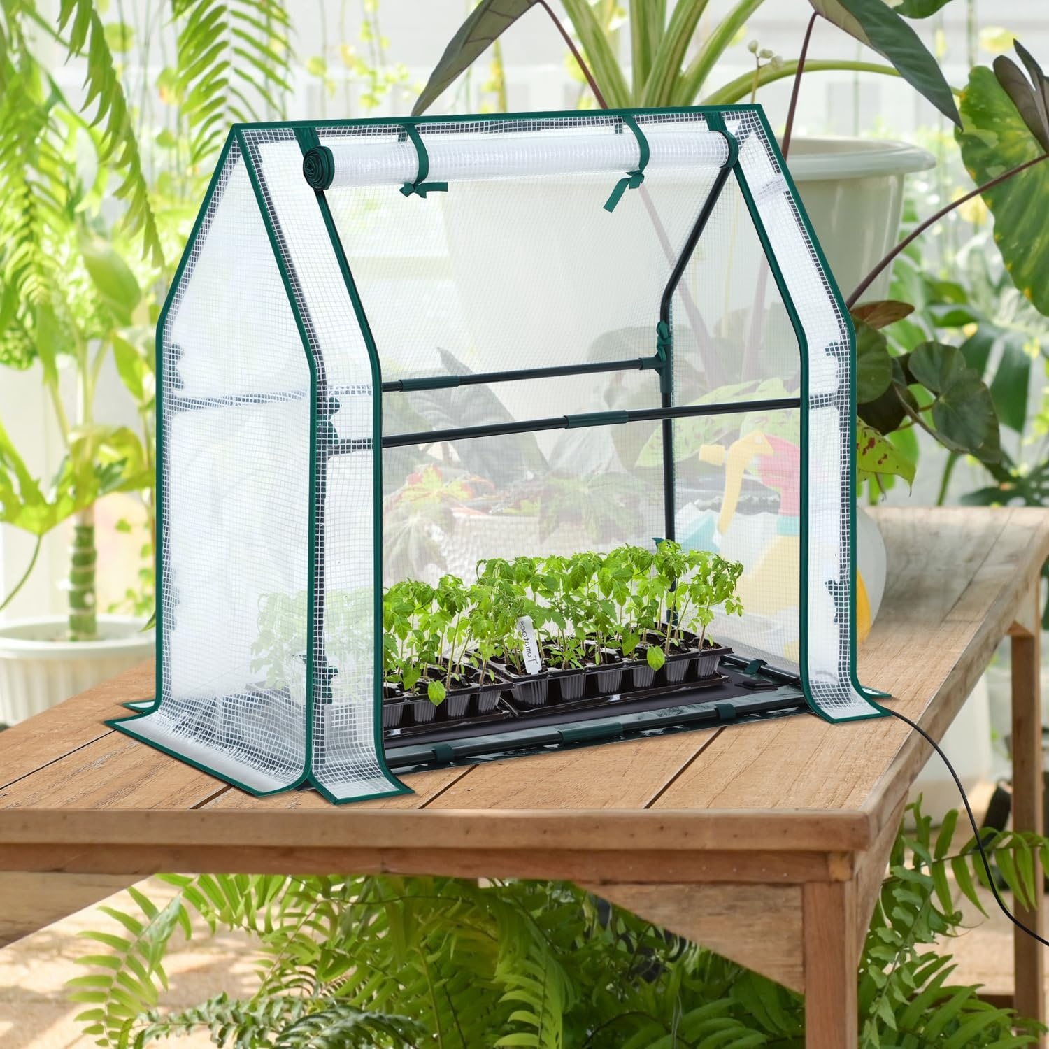 image:imageMini Greenhouse for Indoor Outdoor Ohuhu Portable Green House with Waterproof Pad for Small Plants Nursery Germination 36x36x585 HeavyDuty PVC Cover Tent Humidity Dome Seedling AccessoryWhite
