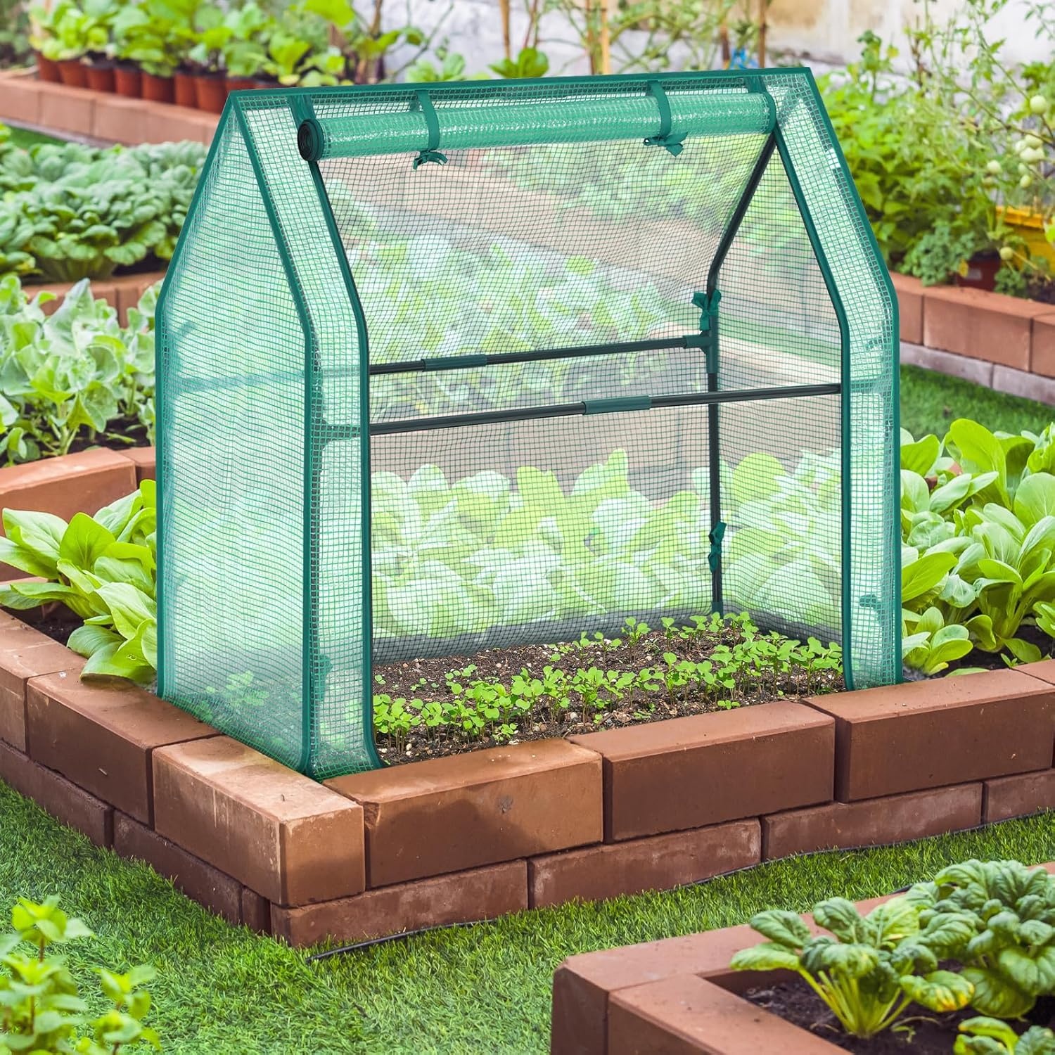 image:imageMini Greenhouse for Indoor Outdoor Ohuhu Portable Green House with Waterproof Pad for Small Plants Nursery Germination 36x36x585 HeavyDuty PVC Cover Tent Humidity Dome Seedling AccessoryGreen