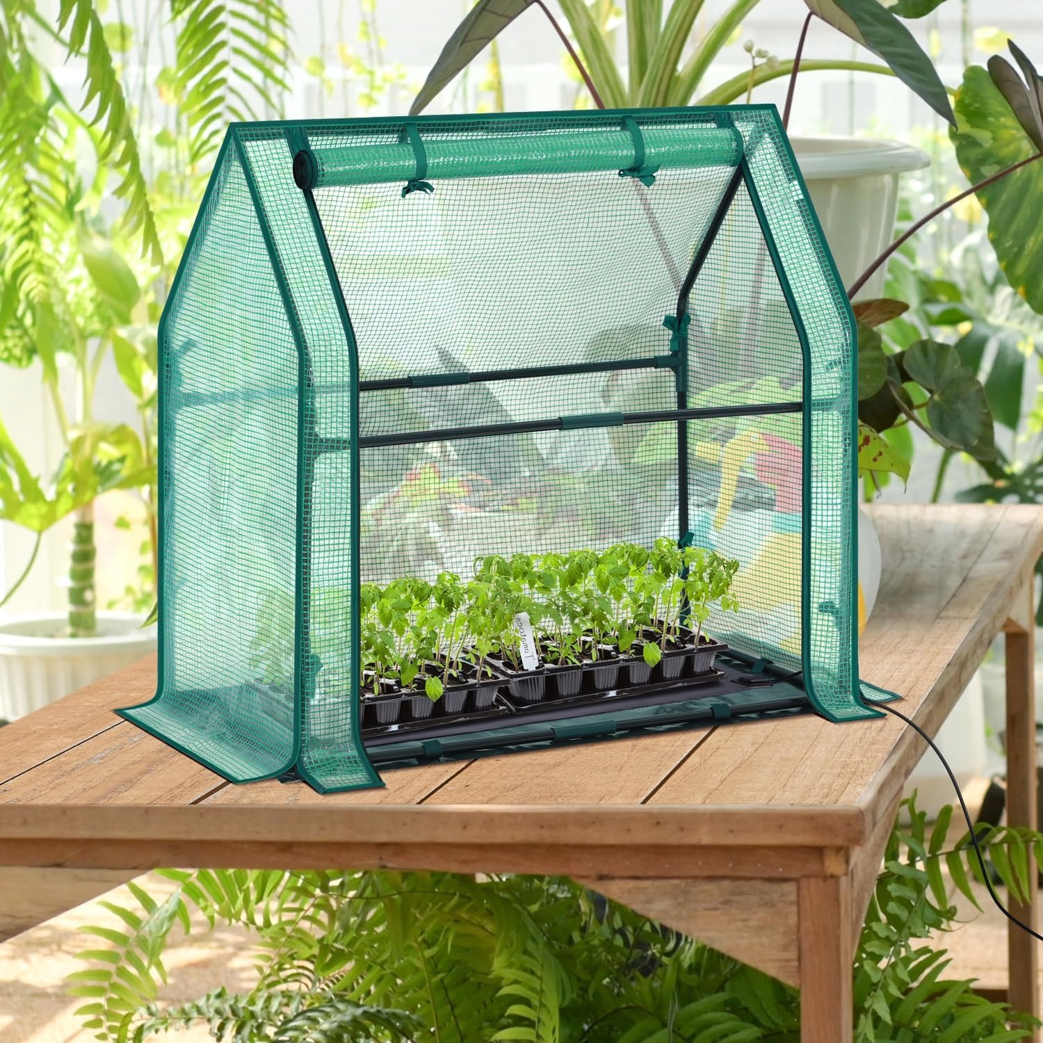 image:imageMini Greenhouse for Indoor Outdoor Ohuhu Portable Green House with Waterproof Pad for Small Plants Nursery Germination 36x36x585 HeavyDuty PVC Cover Tent Humidity Dome Seedling AccessoryGreen