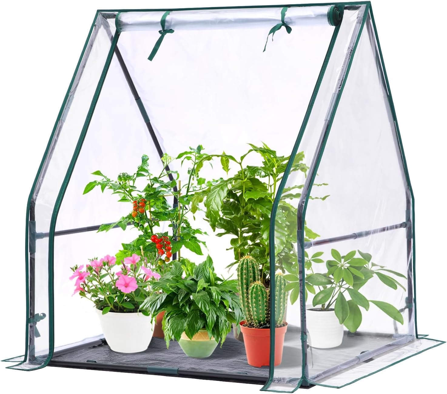 image:imageMini Greenhouse for Indoor Outdoor Ohuhu Portable Green House with Waterproof Pad for Small Plants Nursery Germination 36x36x585 HeavyDuty PVC Cover Tent Humidity Dome Seedling AccessoryClear