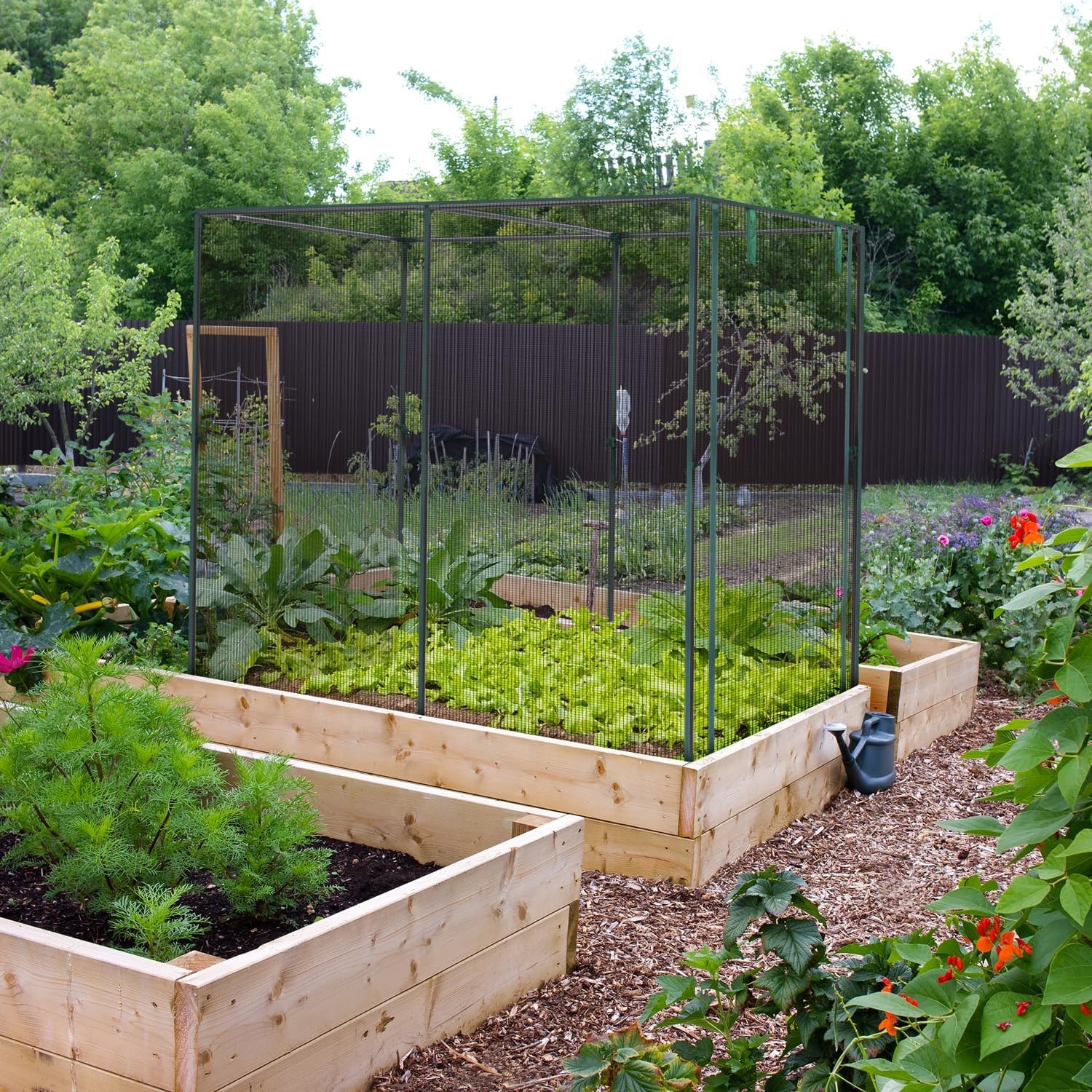 image:imageOhuhu Crop Cages for Garden Plant66x39x53 Ft Plant Protection Tent with Zippered Door Raised Bed Cover Garden Bed Cover with Frame WindResistant Plant Cages for Outdoor Plants66 x 39 x 53