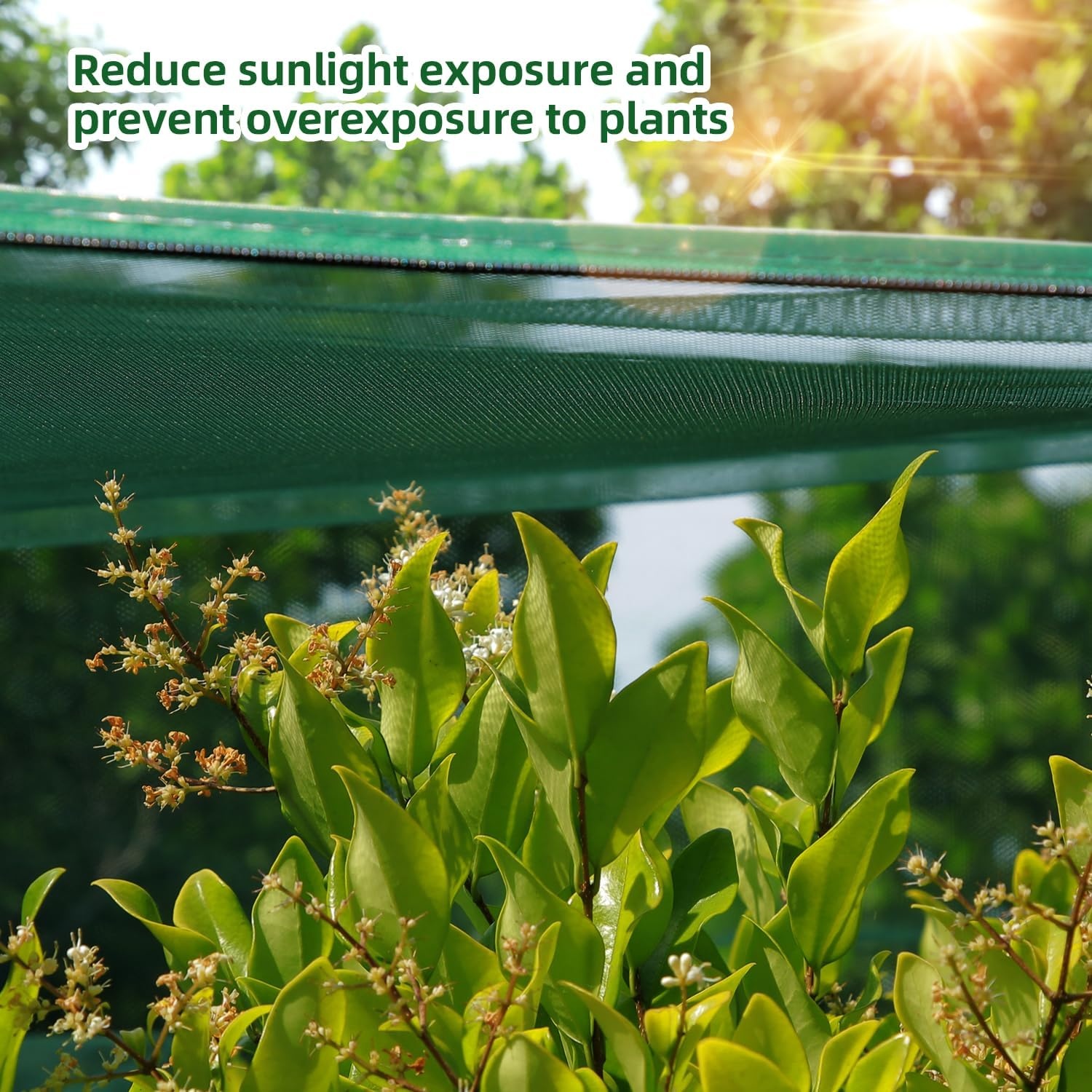 image:imageOhuhu Crop Cages for Garden Plant66x39x53 Ft Plant Protection Tent with Zippered Door Raised Bed Cover Garden Bed Cover with Frame WindResistant Plant Cages for Outdoor Plants6 x 3 x 5