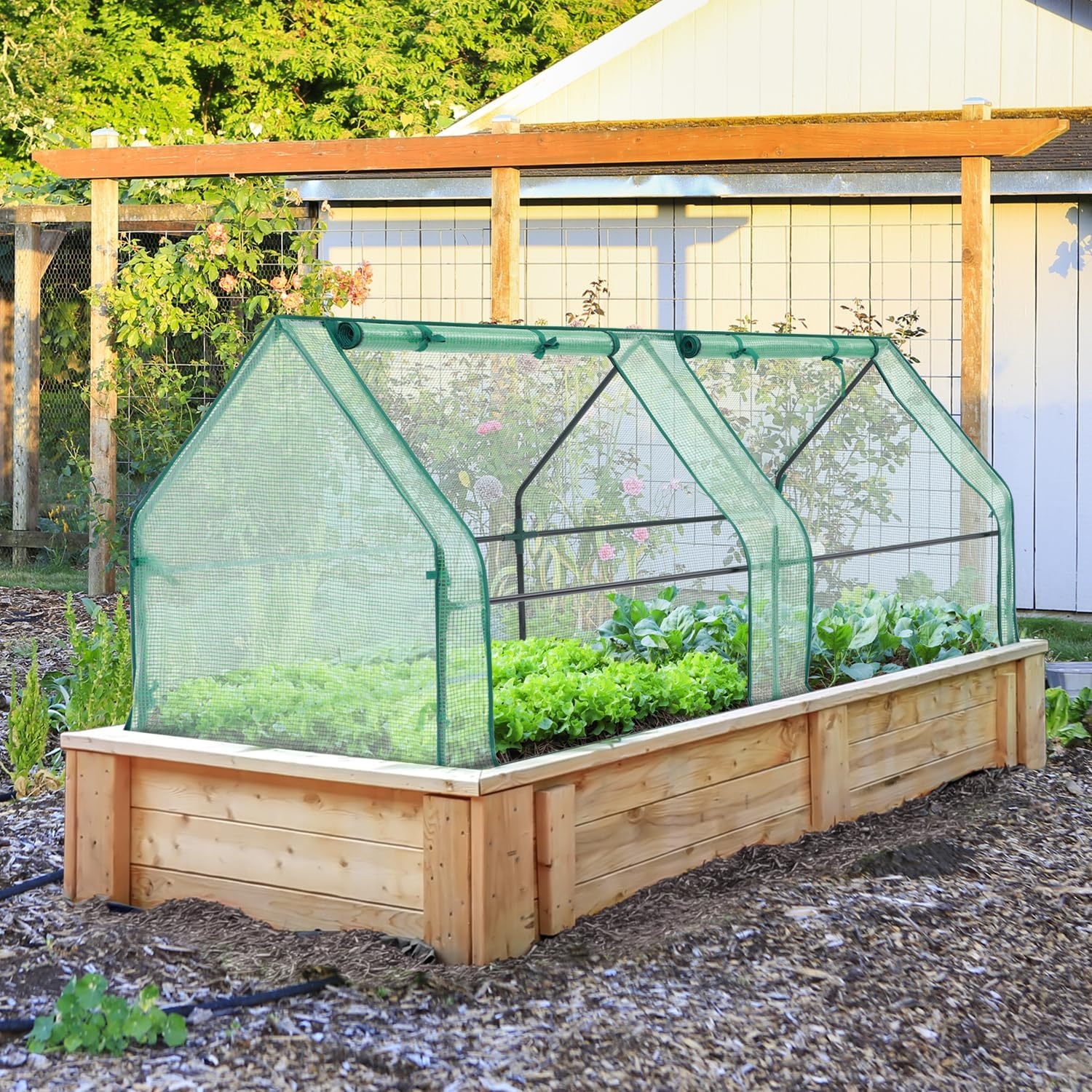 image:imageOhuhu Portable Mini Greenhouse 71x36x36 Greenhouses for Outdoors with Dual Large Zipper Doors amp Ground Stakes Waterproof amp UV Protected Plastic Green House for Outside Garden Patio BackyardGreen