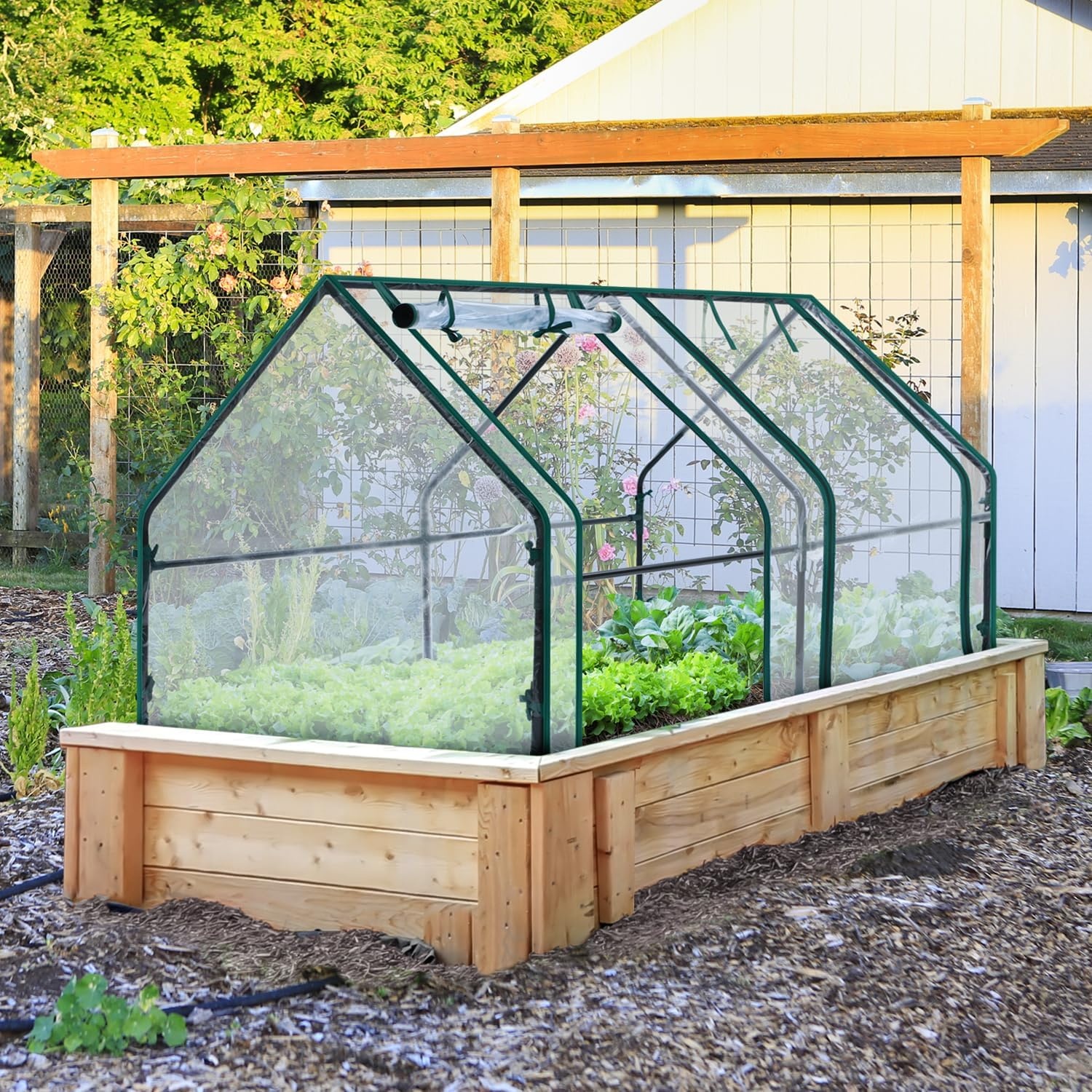 image:imageOhuhu Portable Mini Greenhouse 71x36x36 Greenhouses for Outdoors with Dual Large Zipper Doors amp Ground Stakes Waterproof amp UV Protected Plastic Green House for Outside Garden Patio BackyardClear