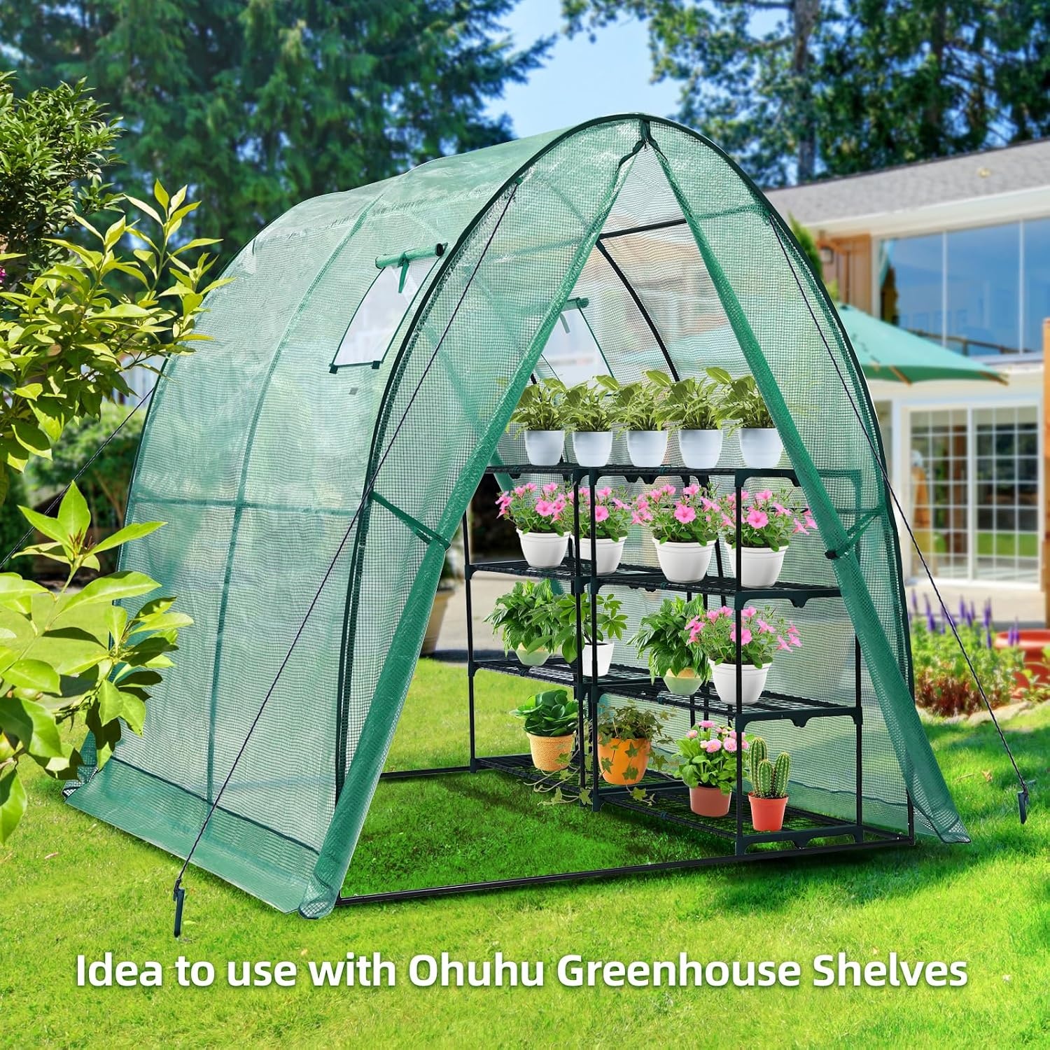image:imageOhuhu Portable Tunnel Greenhouse Outdoor Heavy Duty Small Walk in Green House with Mesh Windows Reinforced Metal Base Durable Plastic PE Cover for Outside Free Tool to Install 59x59x66 FTGreen
