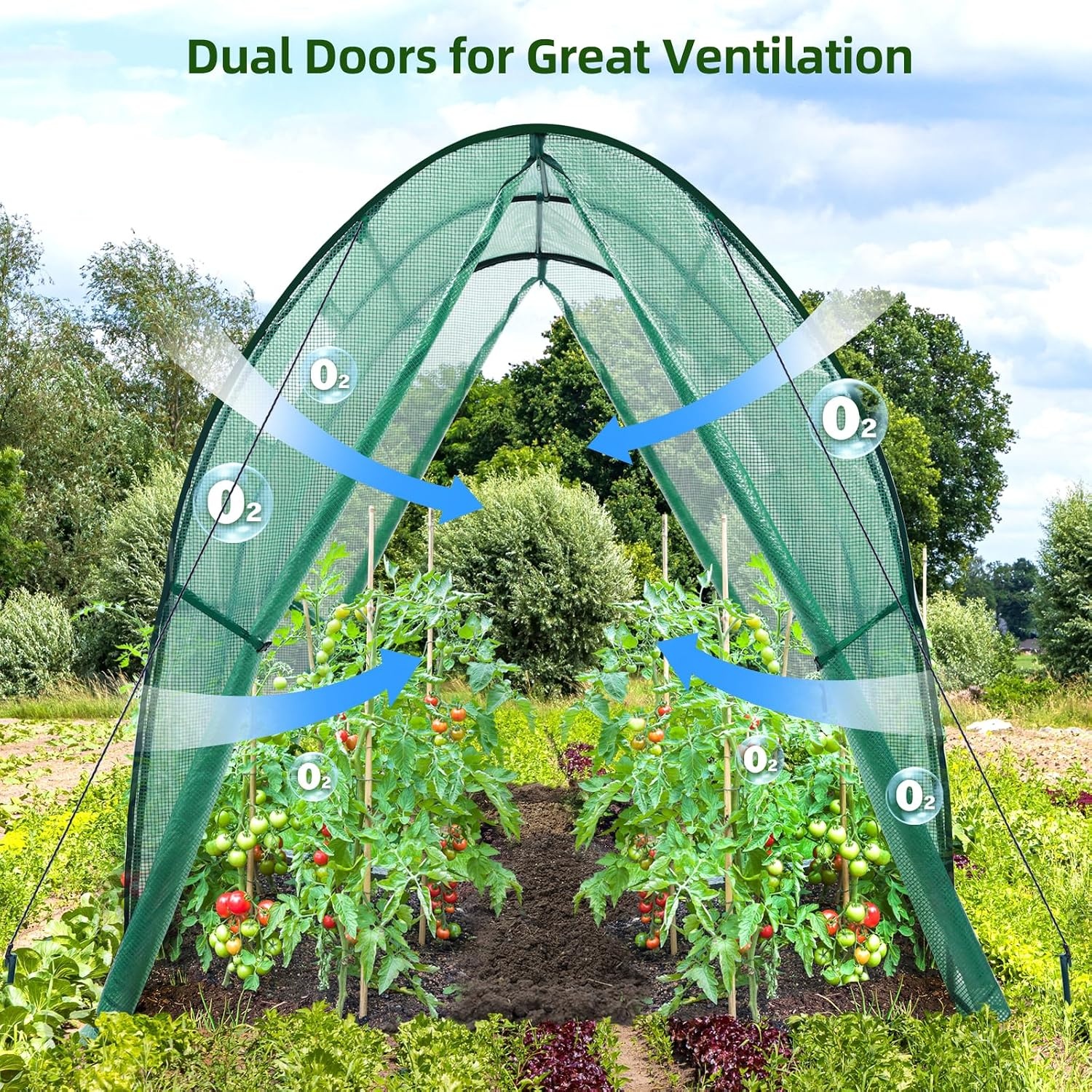 image:imageOhuhu Portable Tunnel Greenhouse Outdoor Heavy Duty Small Walk in Green House with Mesh Windows Reinforced Metal Base Durable Plastic PE Cover for Outside Free Tool to Install 59x59x66 FTGreen