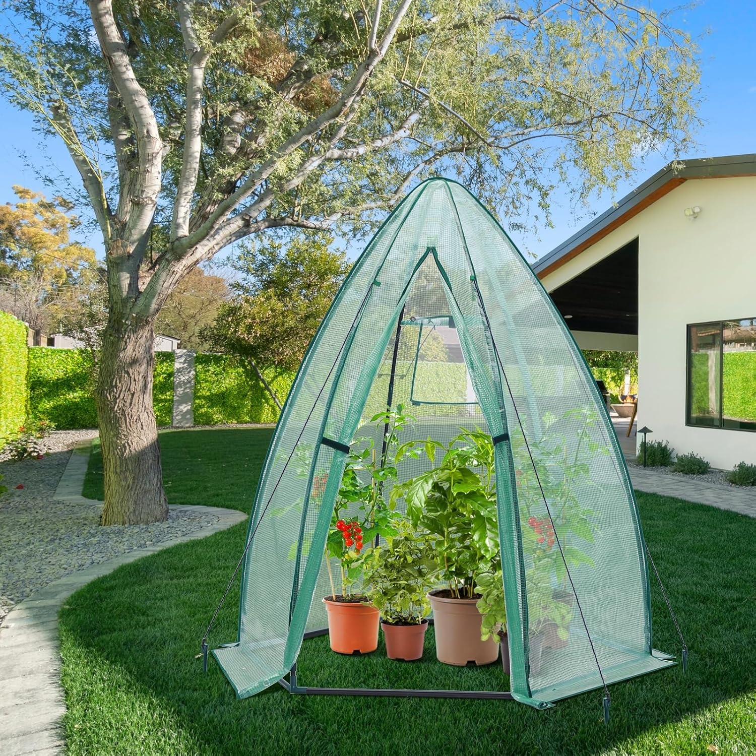 image:imagePortable Greenhouse for Outsides Ohuhu Heavy Duty Green House Tent with Durable PE Cover Garden Plant Protector with Zippered Door Mesh Window for Vegetables Flowers Fruits Herbs 63x54x71 Inchpointed roof green