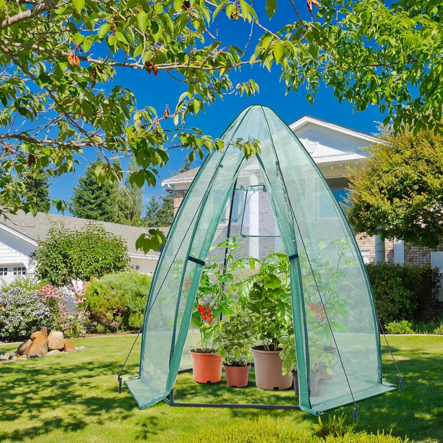 image:imagePortable Greenhouse for Outsides Ohuhu Heavy Duty Green House Tent with Durable PE Cover Garden Plant Protector with Zippered Door Mesh Window for Vegetables Flowers Fruits Herbs 63x54x71 Inchpointed roof green
